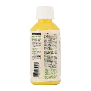 甘酒 あまざけ 山田酒造食品 甘酒 パイン 2...の詳細画像3