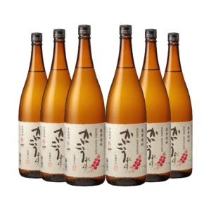 十四代 秘蔵 乙焼酎 隼 箱付き 720ml 30度 高木酒造 純米焼酎 東京都内