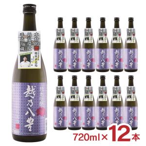 日本酒 清酒 越後酒造場 新潟 越乃八豊 純米吟醸 720ml 12本 辛口 ワイングラスでおいしい日本酒アワード 金賞 純米 送料無料