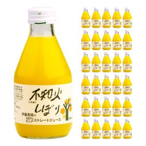 CAMUS（カミュ） 未開栓 カラフェ バカラ ボトル クリスタル