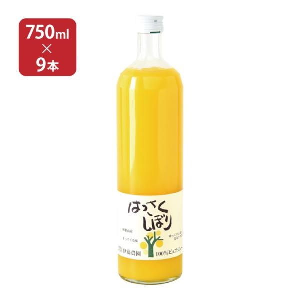 和歌山産 果汁飲料 100％ピュアジュース はっさくしぼり 750ml 9本 伊藤農園 送料無料 取...