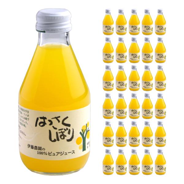 和歌山産 果汁飲料 100％ピュアジュース はっさくしぼり 180ml 30本 伊藤農園 送料無料 ...