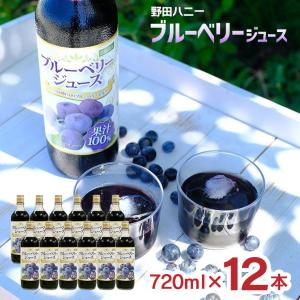 フォーデイズ スパーク ファイア パワーエナジー アミノフォース 24本