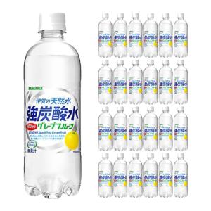 炭酸水 サンガリア 伊賀の天然水 強炭酸水 グレープフルーツ 500ml 24本（1ケース） 送料無料｜tokyo-syusui