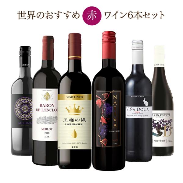 ワイン ソムリエが選ぶ 世界の赤ワイン セット 750ml 6本 赤ワイン チリ フランス イタリア...