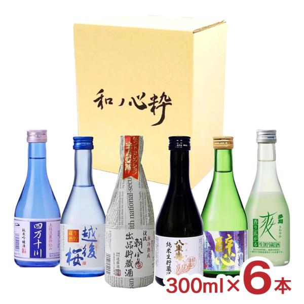 アウトレット ひやしておいしい 日本酒 300ml 6本 アソート 賞味期限間近 訳あり 送料無料
