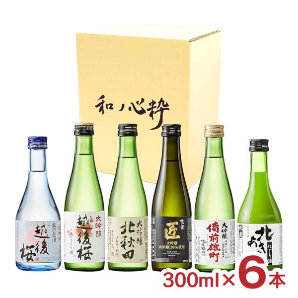 アウトレット 日本酒 小山本家 大吟醸入 300ml 6本 セット 賞味期限間近 送料無料 訳あり