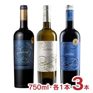 ワインセット スペイン エヴォディア 3種 飲み比べセット 赤白 赤ワイン 白ワイン 750ml 各1本 3本 ミディアム 辛口 送料無料｜tokyo-syusui