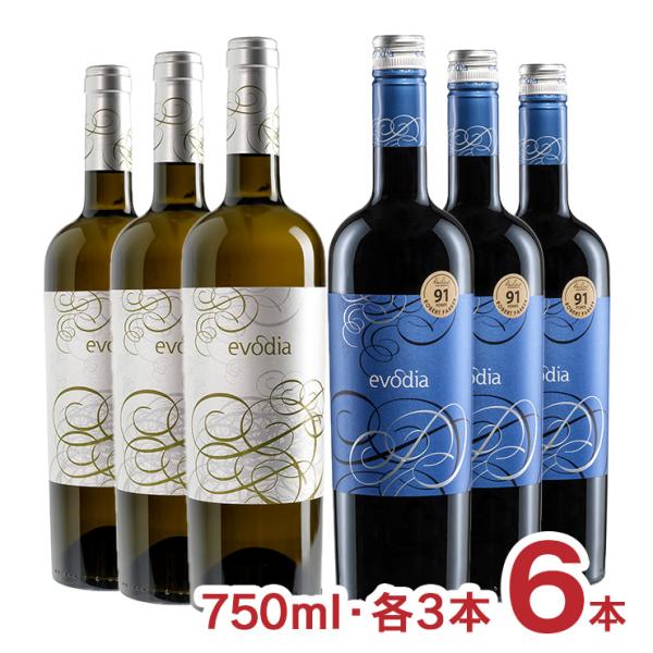 ワインセット スペイン エヴォディア 赤白 セット 750ml 各3本 6本 赤ワイン 白ワイン ミ...