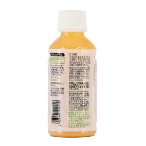 甘酒 あまざけ 山田酒造食品 甘酒 赤メロン ...の詳細画像2