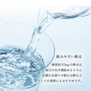 水 ミネラルウォーター おいしい天然水 ラベル...の詳細画像5