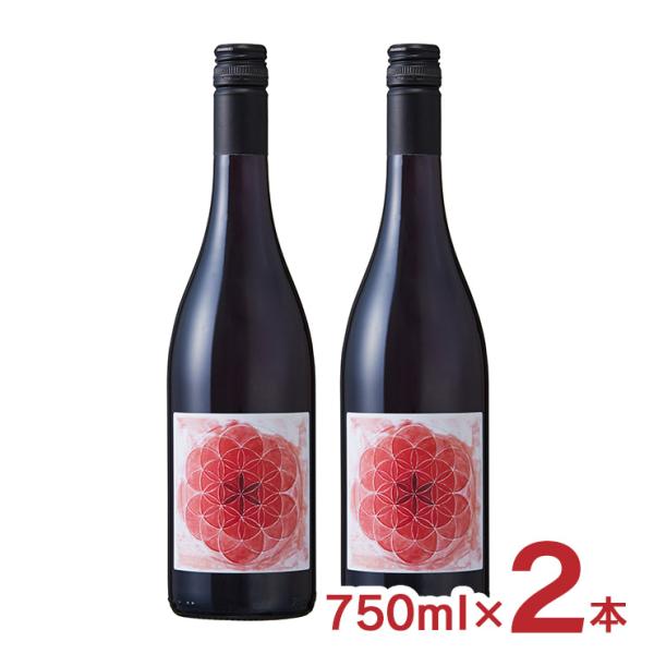 イタリア イタリアワイン マルコ・モスコーニ コルヴィーナ ロッソ 2022 750ml 2本 送料...