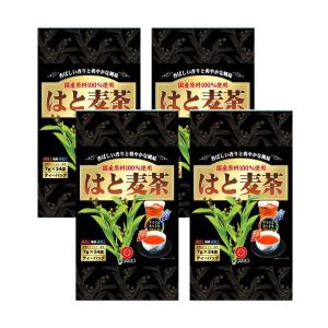 伊藤園 おーいお茶 抹茶入り緑茶 粉末 スティックタイプ ( 100本入×5