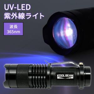 KOOLBEAM 超小型 強力 LED懐中電灯 100ルーメン ミニサイズ