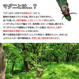 TIGER マダニリムーバー マダニ取り 3サ...の詳細画像2