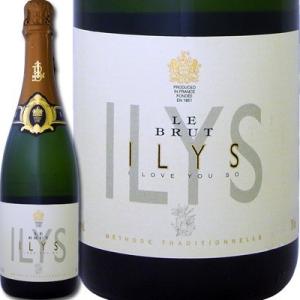 スパークリングワイン イリス・ル・ブリュット・ド・ロワール750mlミディアムボディ wine sp...