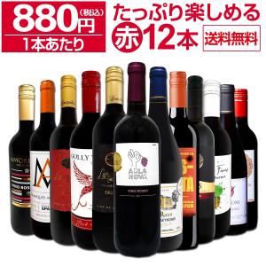 赤ワイン セット フランス スペイン イタリア 12本 750ml wine set 第