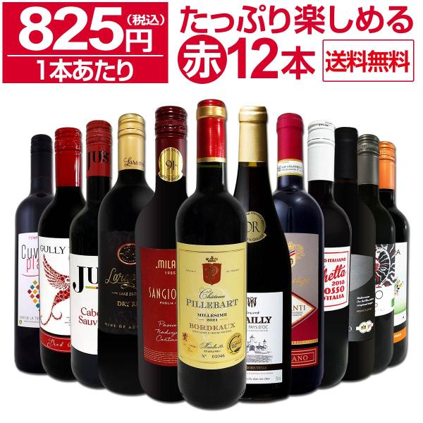 第64弾！1本あたり825円(税込)!!採算度外視の大感謝!厳選赤ワイン12本セット