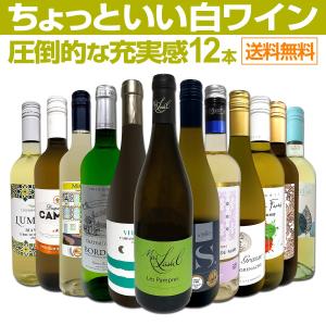 白ワイン セット 12本 750ml フランス イタリア など 辛口 wine set 第75弾