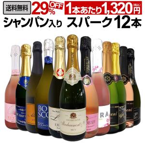 サロン・ブラン・ド・ブラン サロン ブラン ド ブラン 2013 箱なし