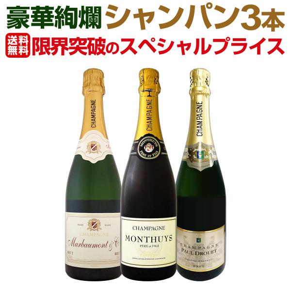 シャンパン セット スパークリングワイン フランス 3本 wine set sparkling Ch...