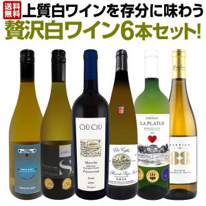 格上!贅沢!すべてワンランク上の厳選白ワイン10本セット 詰め合わせ