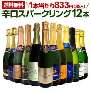 スパークリングワイン セット フランス 12本 wine set sparkling 白 750ml 辛口 第102弾｜tokyo-wg