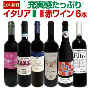 バラエティ豊かな個性を満喫★充実感たっぷりのイタリア赤ワイン6本セット!!｜tokyo-wg