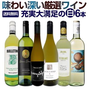 白ワイン セット フランス イタリア 6本 750ml 辛口 wine set 第209弾｜tokyo-wg