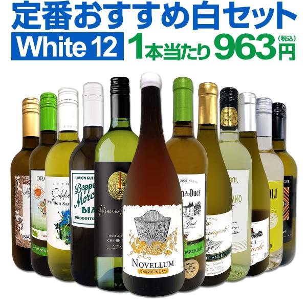 白ワイン セット イタリア フランス 12本 750ml 辛口 欧州 wine set 第219弾