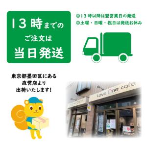 相撲コンペイトウ(6g×4) [金平糖 こんぺ...の詳細画像4