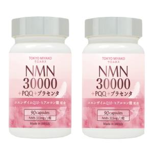 専用ヤマダイ  プラセンアップ 二個 期限2025年11月) ヤマダイ プラセンアップ 160粒 PLACEN UP 栄養補助