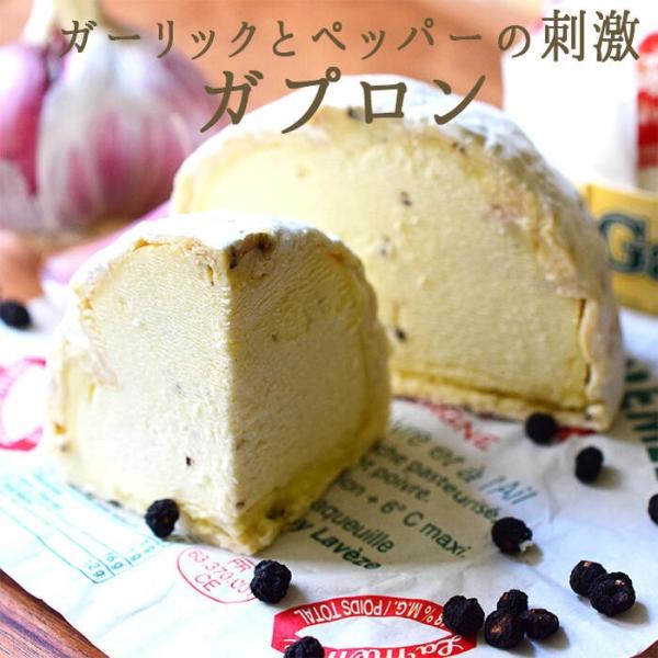 チーズ　ガプロン　Gaperon　白カビチーズ　チーズギフト　ナチュラルチーズ＜フランス産＞　【18...