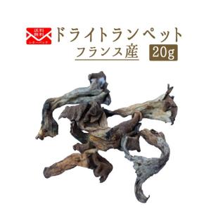 ★【送料無料　ゆうパケット】ドライ　トランペット　（黒ラッパ茸）　乾燥きのこ　＜フランス産＞　【20g】