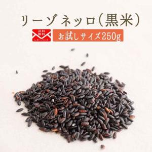 【送料無料　ゆうパケット】リーゾ　ネッロ（黒米）【250g】　＜イタリア産＞　【常温/冷蔵混載可】【スローフード協会推奨】｜tokyo468syokuzai