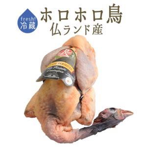 【フレッシュ　冷蔵】パンタード　頭付・中抜　【1.5-2kg】　＜フランス　ランド産＞　【￥420/100g再計算】【冷蔵品】｜tokyo468syokuzai