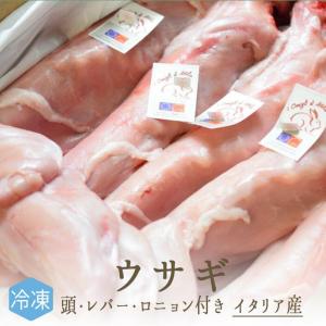 【冷凍】ウサギ肉　（頭付・レバー、ロニョン付き）　＜イタリア　ヴェネト産＞　【1羽=約1.4-2kg】｜tokyo468syokuzai