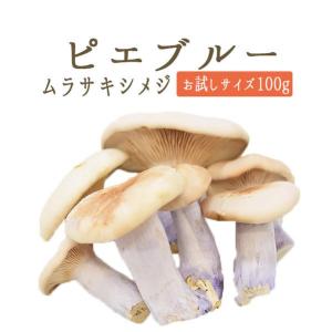 ◆ピエブルー（紫シメジ)＜フランス産＞【お試しサイズ　100g】【冷蔵品】｜tokyo468syokuzai