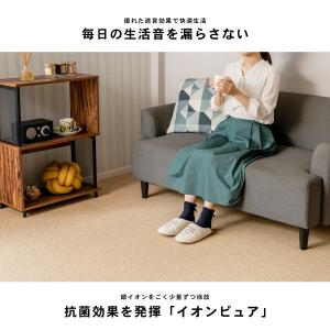 防音 防振 タイルカーペット マット 静床ライ...の詳細画像1