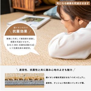 防音 防振 タイルカーペット マット 静床ライ...の詳細画像2