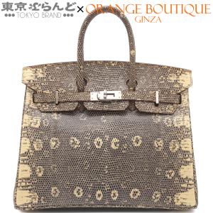 エルメス HERMES バーキン25 □N刻印 オンブレ シルバー金具 リザード ハンドバッグ レディース 101875235
