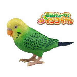 毎日おしゃべり 天才インコちゃん タカラトミー
