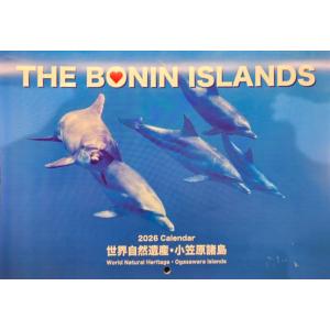 野元カレンダー