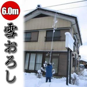 多機能雪おろし ＆ 雪庇落とし ＆ 凍雪除去用ヘラ セット 6m 角度調節付 日本製 雪降ろし 雪落とし 雪かき 除雪 送料無料｜tokyoline2015