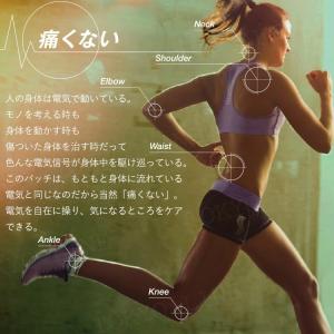 マイクロリカバリーパッチ 20枚入 筋肉 関節...の詳細画像1
