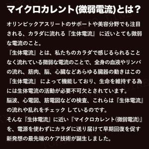 マイクロリカバリーパッチ 20枚入 筋肉 関節...の詳細画像2