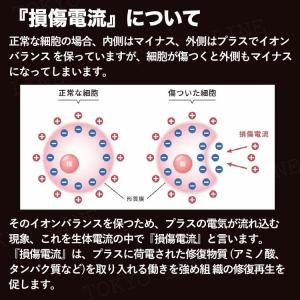 マイクロリカバリーパッチ 20枚入 筋肉 関節...の詳細画像3