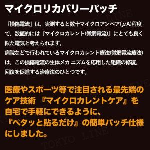 マイクロリカバリーパッチ 20枚入 筋肉 関節...の詳細画像4