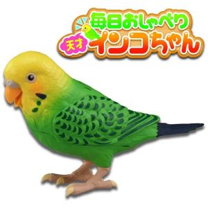 TAKARA TOMY タカラトミー ヒーリングパートナー 毎日おしゃべり 天才インコちゃん 楽しい 可愛い ペット 癒し 和み 送料無料｜tokyoline2015