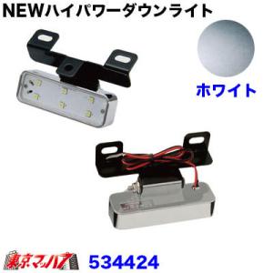 トラック用品　NEWハイパワーダウンライト　12/24V共用　ホワイト｜tokyomach7